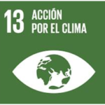 26 de Enero Día Internacional de la Educación Ambiental -ODS 13